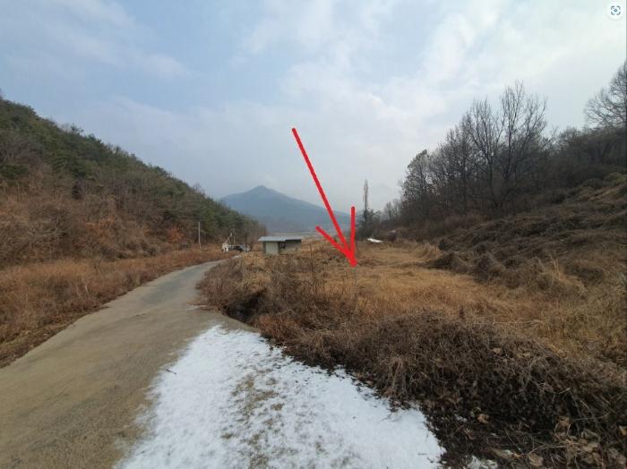 경상북도 의성군 안사면 만리리 706-1 전 경매 사진 6