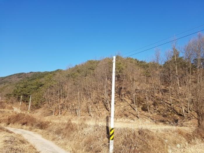 경상북도 의성군 안사면 만리리 706-1 전 경매 사진 7