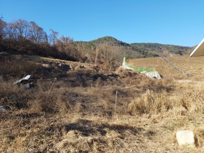 경상북도 의성군 안사면 만리리 706-1 전 경매 사진 9