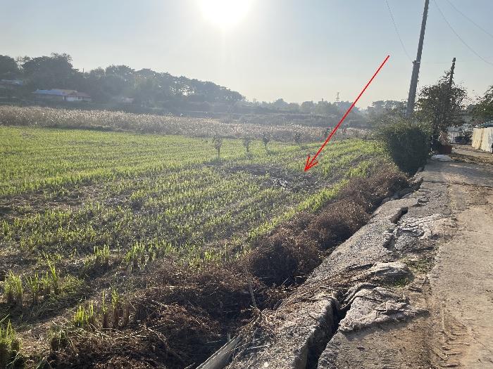 충청남도 당진시 석문면 삼화리 389 답 경매 사진 2