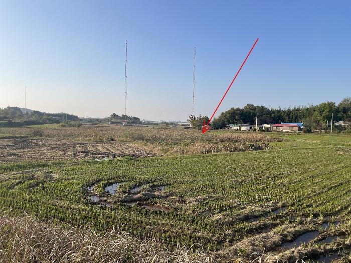 충청남도 당진시 석문면 삼화리 389 답 경매 사진 4