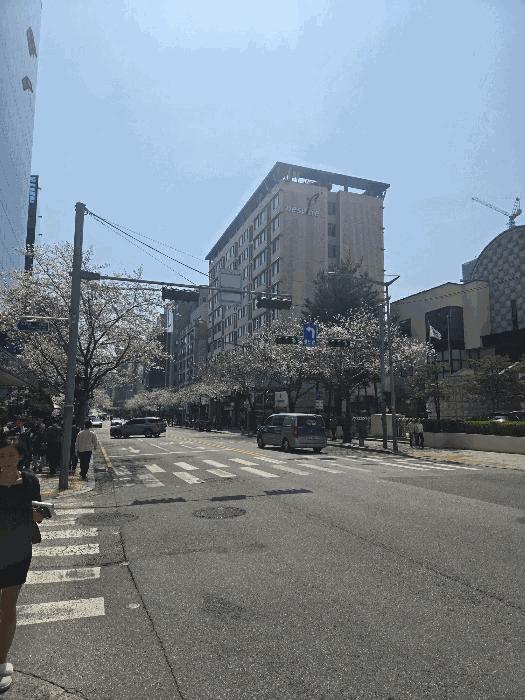 서울특별시 강남구 역삼동 830-41 네스빌 6층613호 오피스텔 경매 사진 6