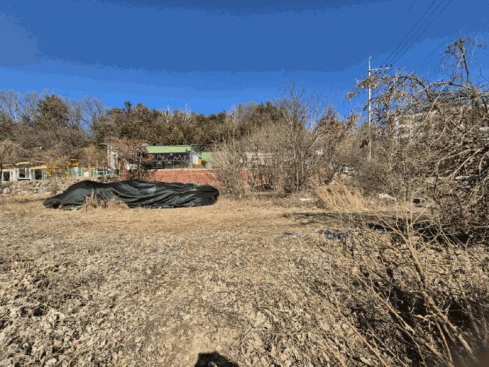 경상북도 칠곡군 동명면 기성리 1031-17 답 경매 사진 3