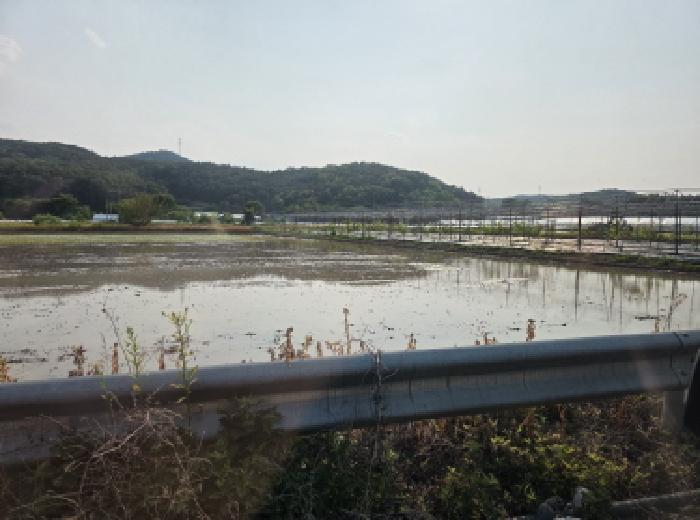 대구광역시 달성군 하빈면 기곡리 32 답 경매 사진 14