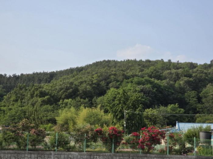 대구광역시 달성군 하빈면 기곡리 32 답 경매 사진 18