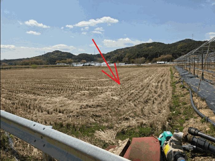 대구광역시 달성군 하빈면 기곡리 32 답 경매 사진 5