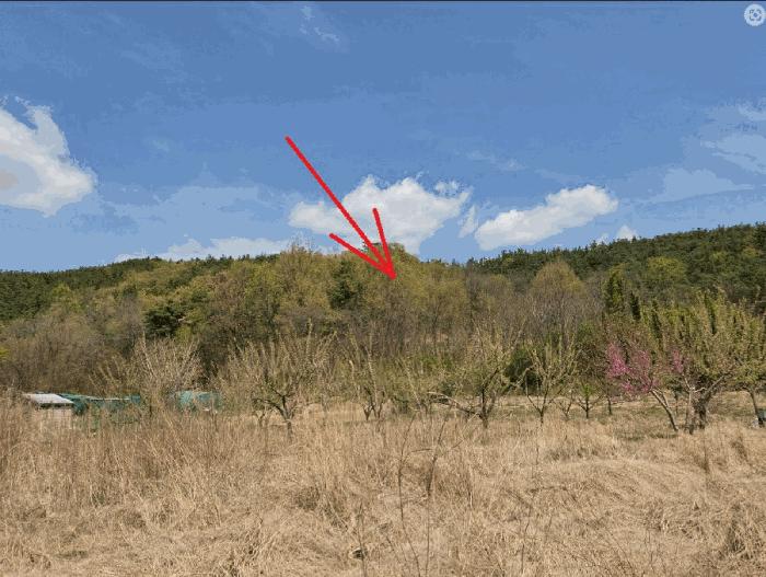 대구광역시 달성군 하빈면 기곡리 32 답 경매 사진 6