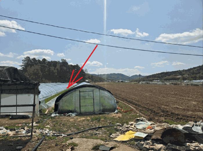 대구광역시 달성군 하빈면 기곡리 산30 임야 경매 사진 4
