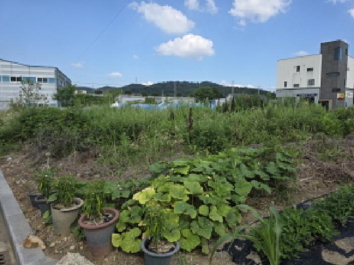 경상북도 성주군 선남면 관화리 435-4 답 경매 사진 11