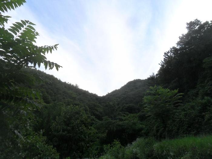 경상남도 함안군 산인면 모곡리 산79 임야 경매 사진 16