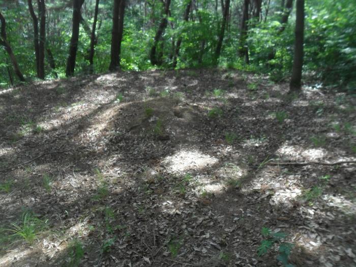 경상남도 함안군 산인면 모곡리 산79 임야 경매 사진 17