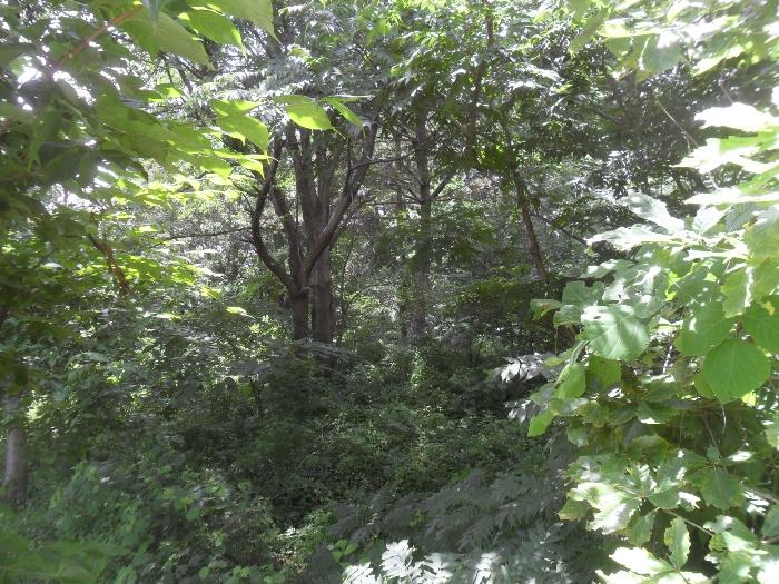 경상남도 함안군 산인면 모곡리 산79 임야 경매 사진 20