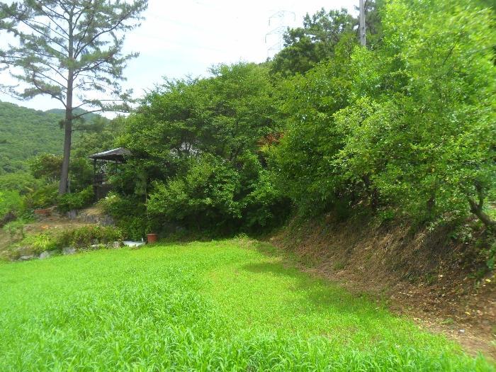 경상남도 함안군 산인면 모곡리 산79 임야 경매 사진 3