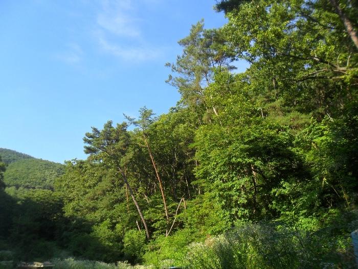 경상남도 함안군 산인면 모곡리 산79 임야 경매 사진 34