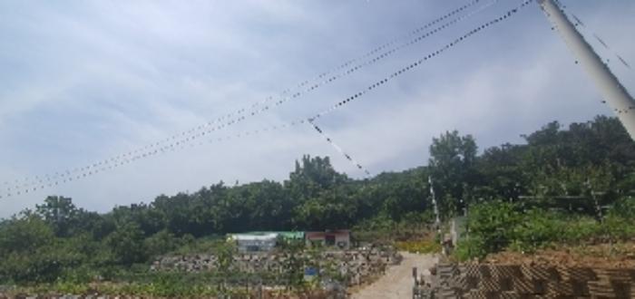 경상남도 함안군 산인면 모곡리 산79 임야 경매 사진 54