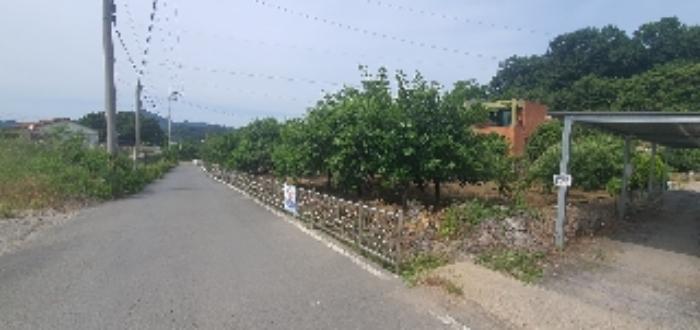 경상남도 함안군 산인면 모곡리 산79 임야 경매 사진 56