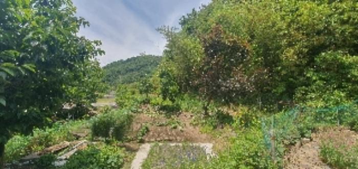 경상남도 함안군 산인면 모곡리 산79 임야 경매 사진 69