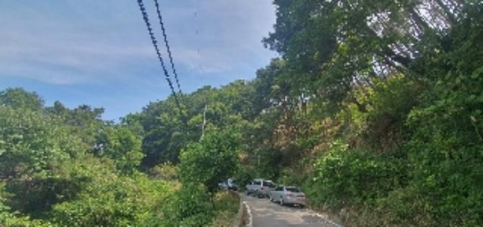 경상남도 함안군 산인면 모곡리 산79 임야 경매 사진 78