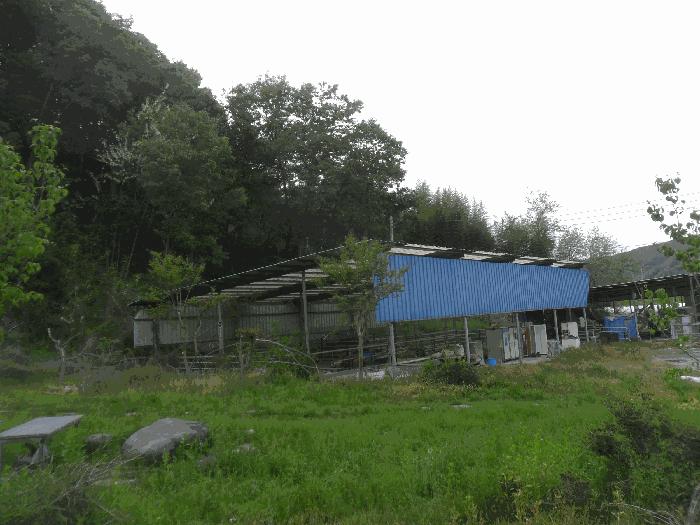 경상남도 의령군 지정면 성산리 64 주택 경매 사진 1