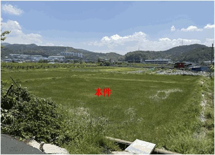 경상남도 함안군 칠원읍 무기리 1051-3 답 경매 사진 4