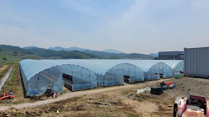 경상남도 함안군 칠북면 덕남리 1284-3 답 경매 사진 12
