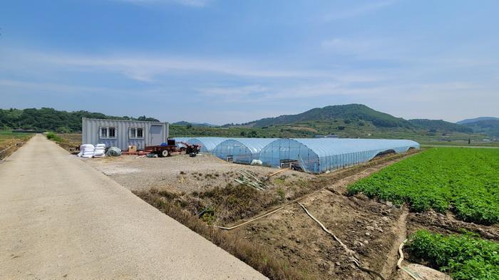 경상남도 함안군 칠북면 덕남리 1284-3 답 경매 사진 9