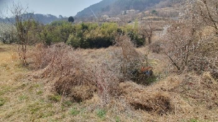 경상남도 창원시 마산합포구 진동면 신기리 109 대지 경매 사진 10