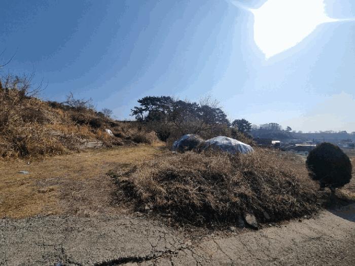 경상남도 창원시 마산합포구 진동면 신기리 109 대지 경매 사진 2