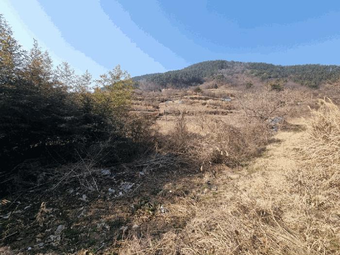 경상남도 창원시 마산합포구 진동면 신기리 109 대지 경매 사진 9