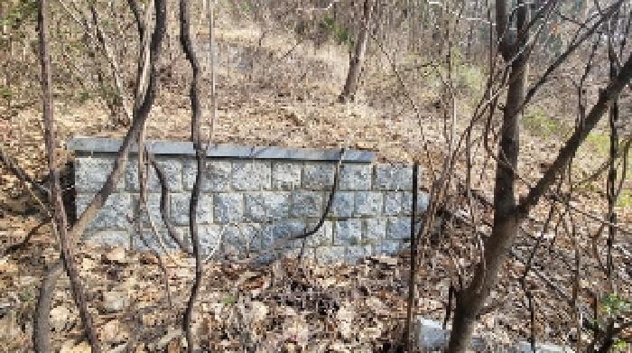 경상남도 함안군 칠북면 이령리 산151 임야 경매 사진 5
