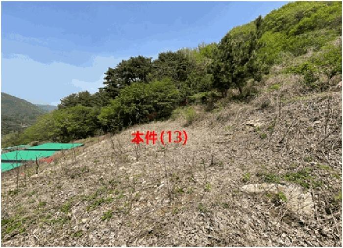 경상남도 함안군 여항면 주동리 727 주택 경매 사진 2
