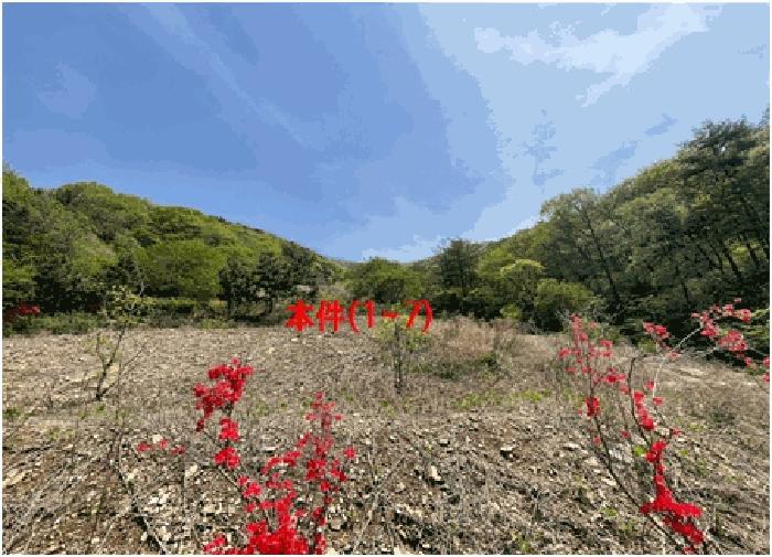 경상남도 함안군 여항면 주동리 727 주택 경매 사진 6