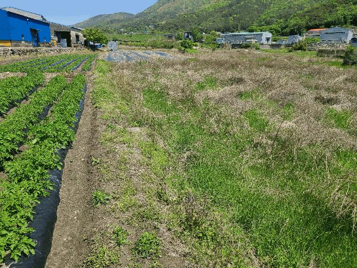 경상남도 창원시 마산합포구 진북면 대티리 483 답 경매 사진 2