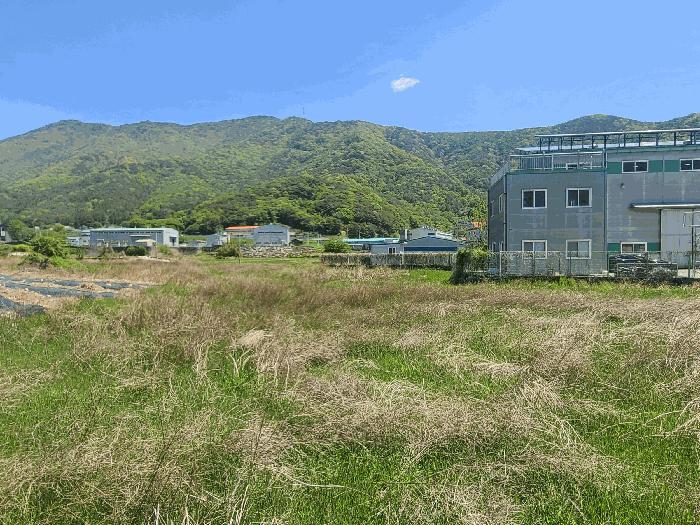 경상남도 창원시 마산합포구 진북면 대티리 483 답 경매 사진 5