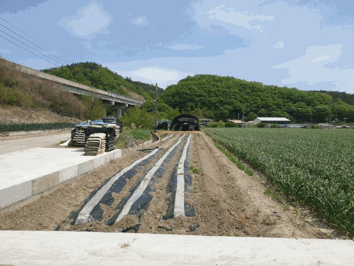 경상북도 영천시 화산면 덕암리 223 답 경매 사진 2