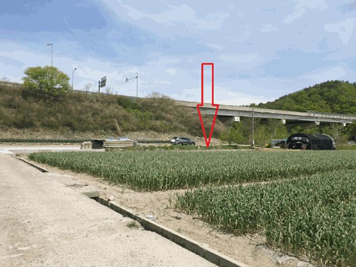 경상북도 영천시 화산면 덕암리 223 답 경매 사진 5