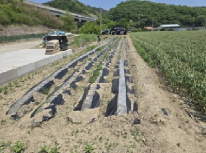 경상북도 영천시 화산면 덕암리 223 답 경매 사진 8