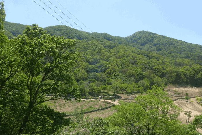 경상북도 칠곡군 석적읍 성곡리 산69-1 임야 경매 사진 2