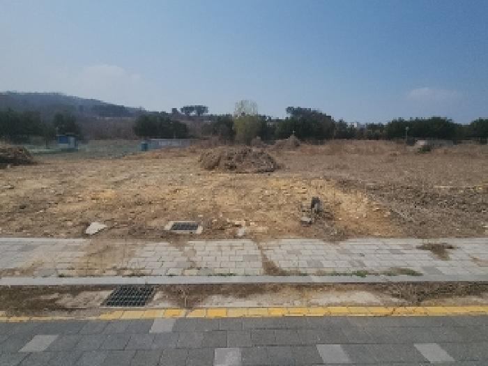 인천광역시 중구 운북동 1289-82 대지 경매 사진 20