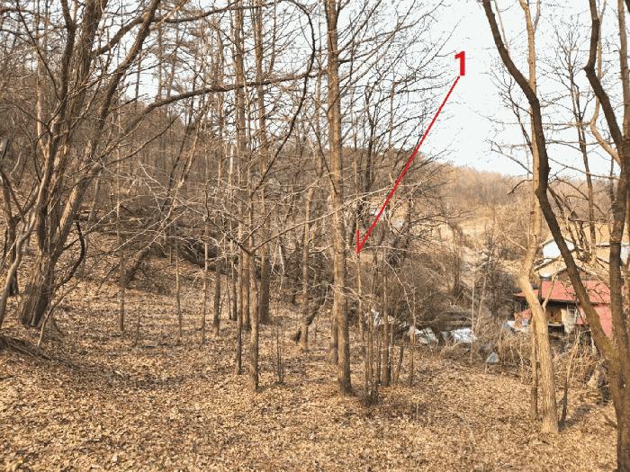 경기도 안성시 삼죽면 내강리 157-1 대지 경매 사진 14