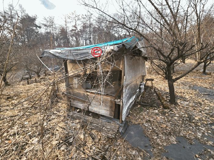 경기도 안성시 삼죽면 내강리 157-1 대지 경매 사진 16