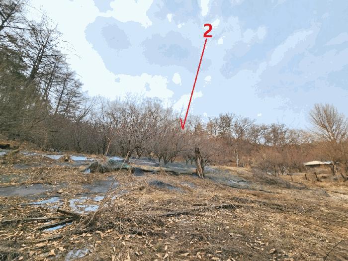 경기도 안성시 삼죽면 내강리 157-1 대지 경매 사진 2