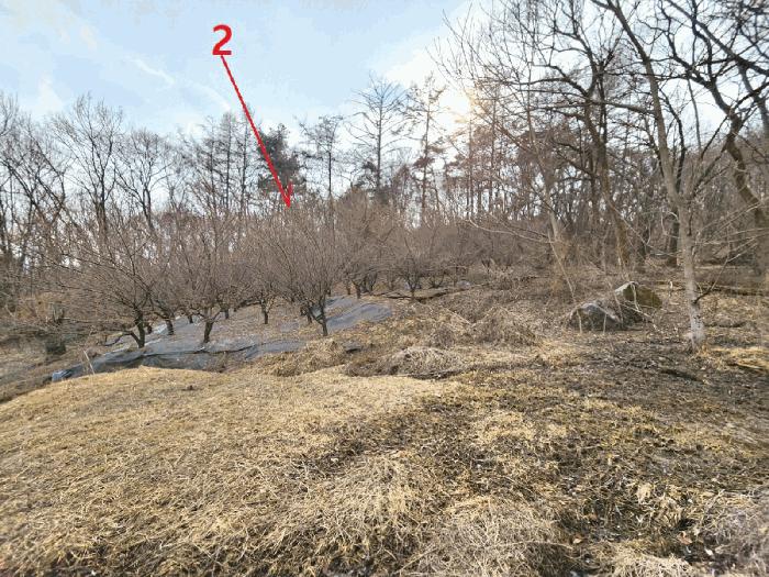 경기도 안성시 삼죽면 내강리 157-1 대지 경매 사진 5