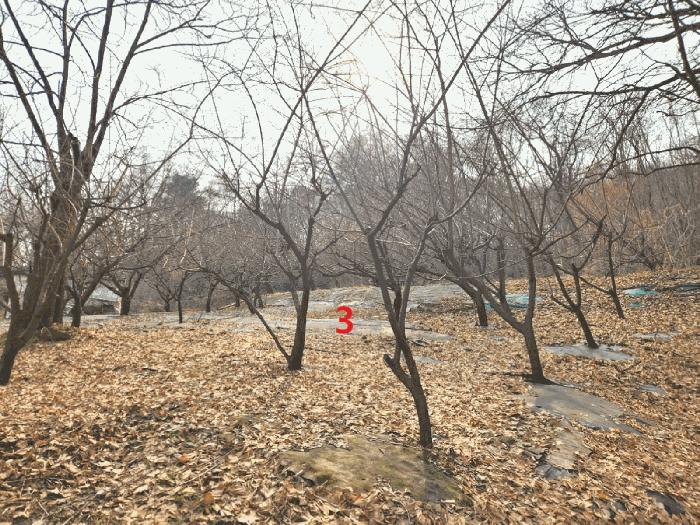경기도 안성시 삼죽면 내강리 157-1 대지 경매 사진 6