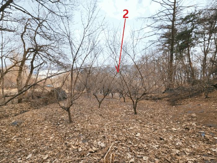 경기도 안성시 삼죽면 내강리 157-1 대지 경매 사진 7