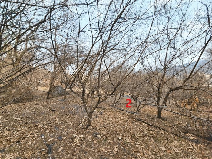 경기도 안성시 삼죽면 내강리 157-1 대지 경매 사진 8