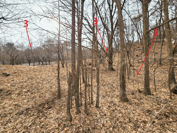 경기도 안성시 삼죽면 내강리 157-1 대지 경매 사진 9