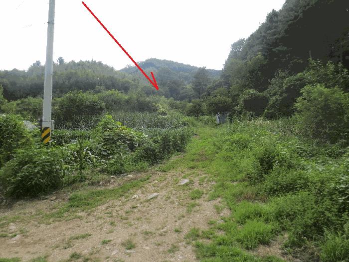 강원도 춘천시 동산면 조양리 86 전 경매 사진 2