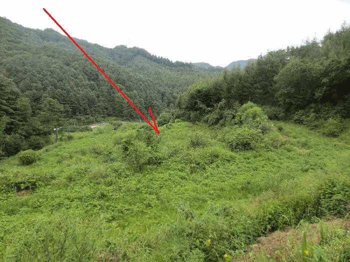 강원도 춘천시 동산면 조양리 86 전 경매 사진 3