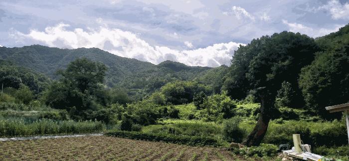 충청북도 음성군 전